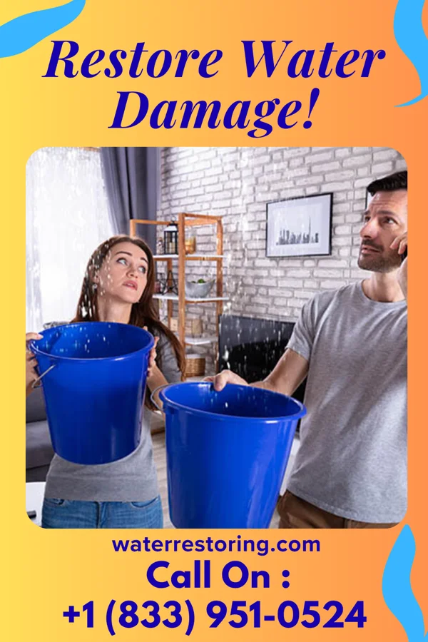 water restoration Prestige Water Mitigation Company Southfield
