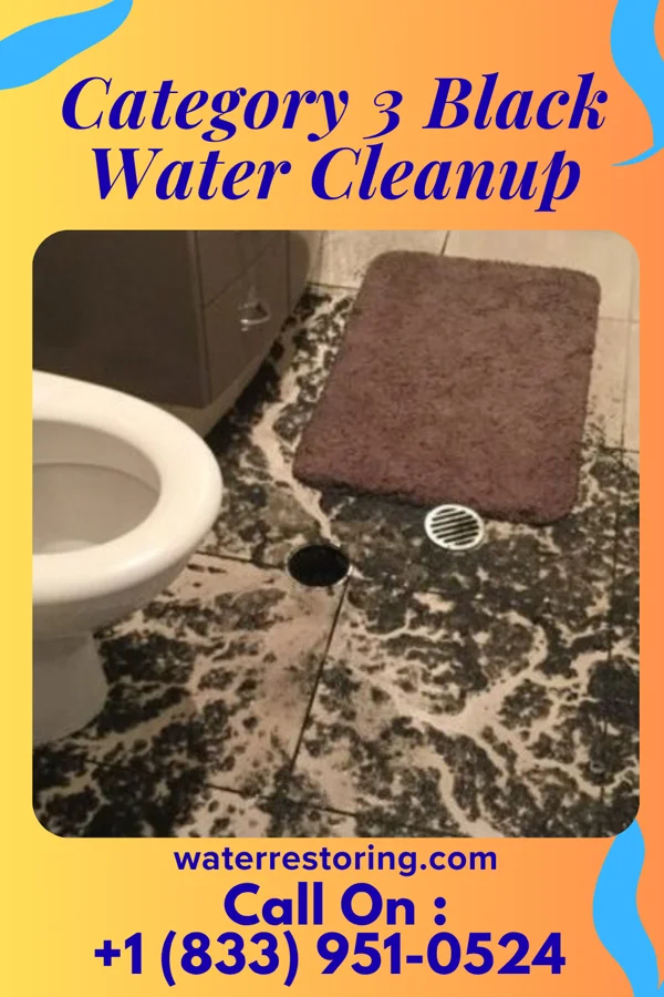 Category 3 Black Water Cleanup in Southfield, MI