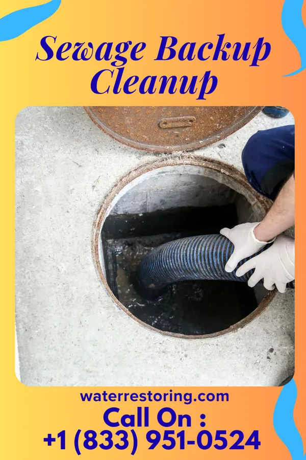 Sewage Backup Cleanup in Southfield, MI